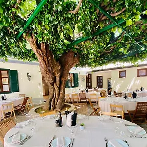 Hotel Antica Al Gelso