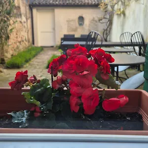 https://19-borgo-cavour.hotelslidodijesolo.com